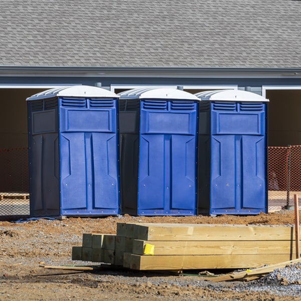 how can i report damages or issues with the porta potties during my rental period in Vale Summit